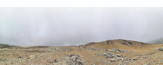 1651201807.png/