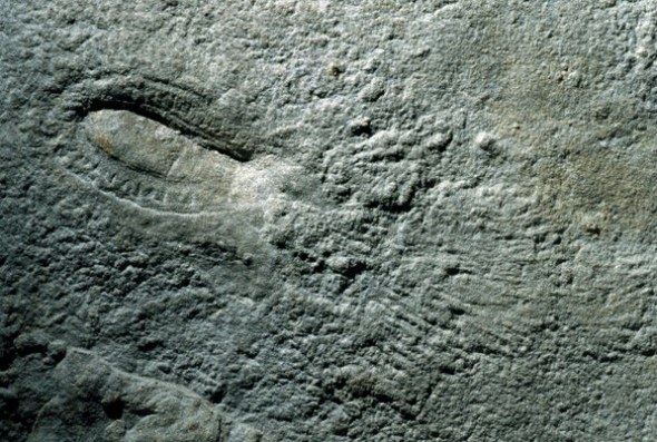 1516780750114722.jpg/
