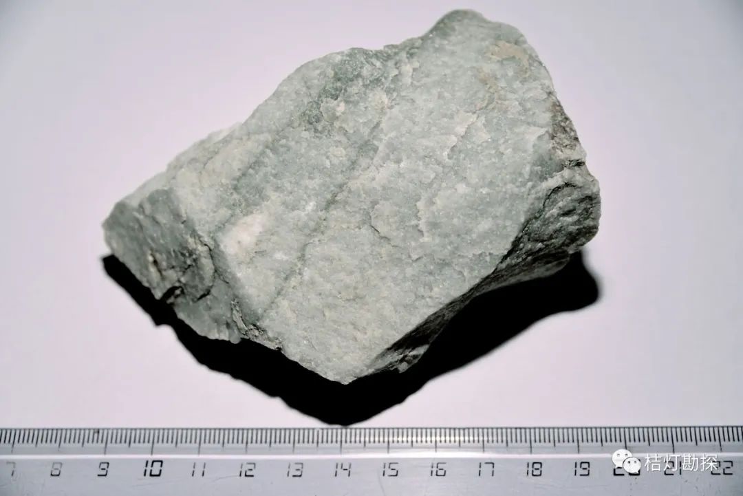 1697182619307.jpg