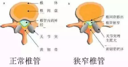 1687829816.png/