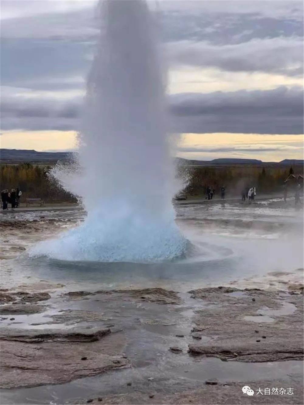 1701227181214.png