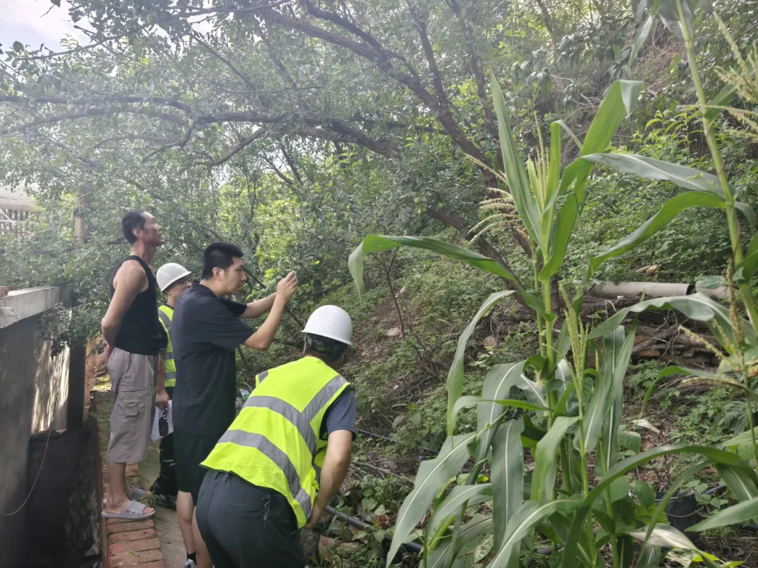 1724138463340.png 640_wx_fmt=jpeg&from=appmsg&tp=webp&wxfrom=5&wx_lazy=1&wx_co=1.webp.png