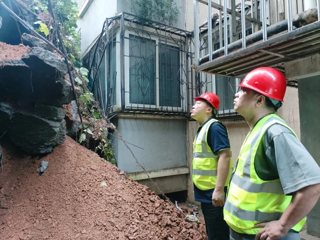 1729476549119.jpg 6.jpg