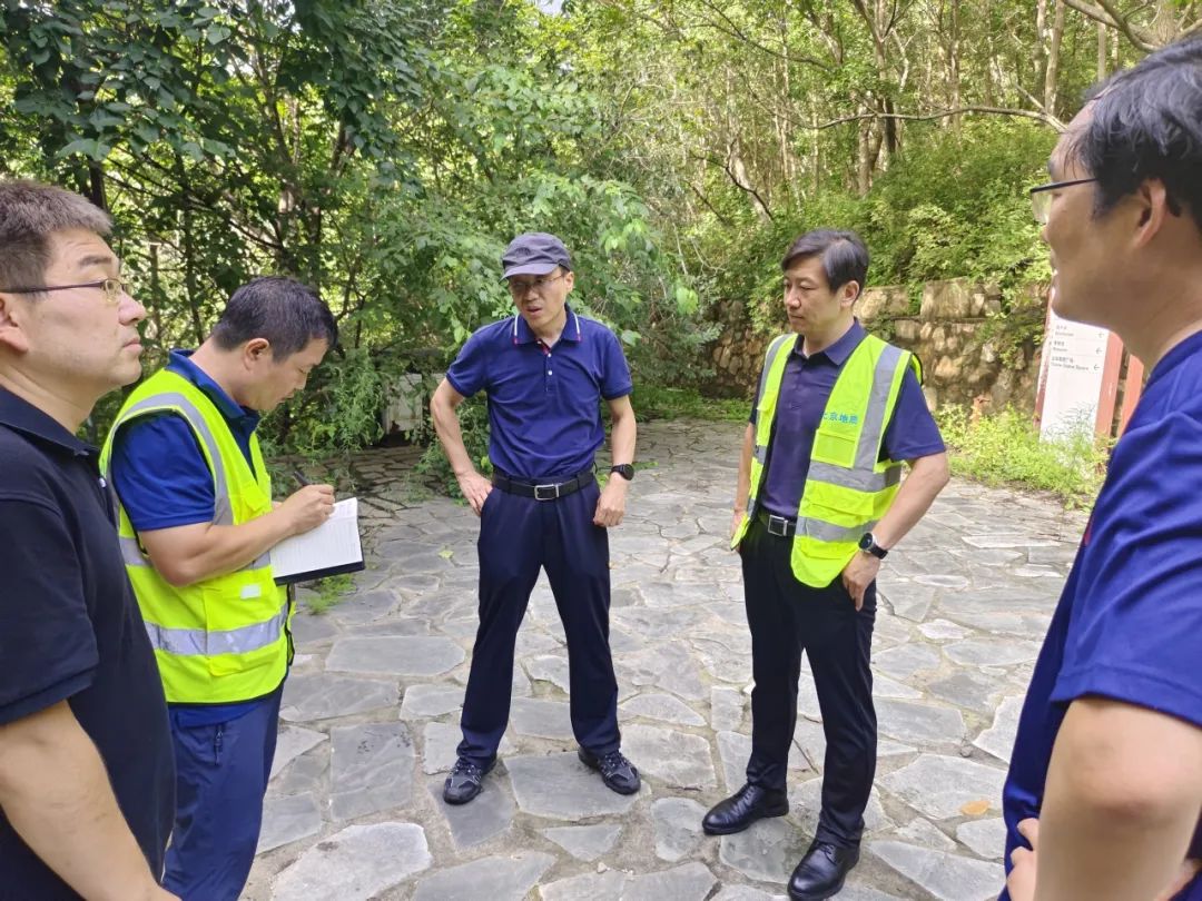 1729478057817.jpg 5.jpg