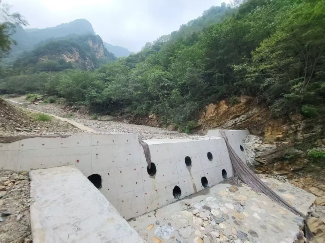 1730040229424.jpg 4.jpg