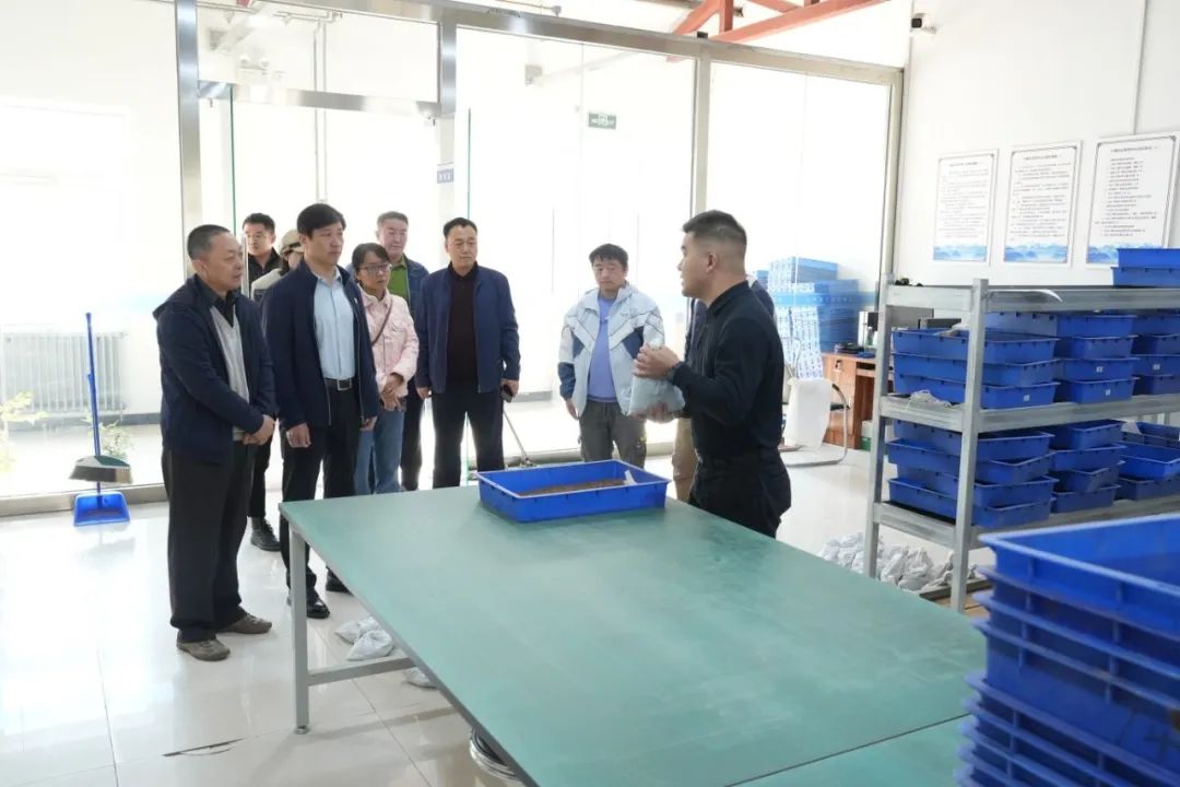 1730725225242.jpg 4.jpg