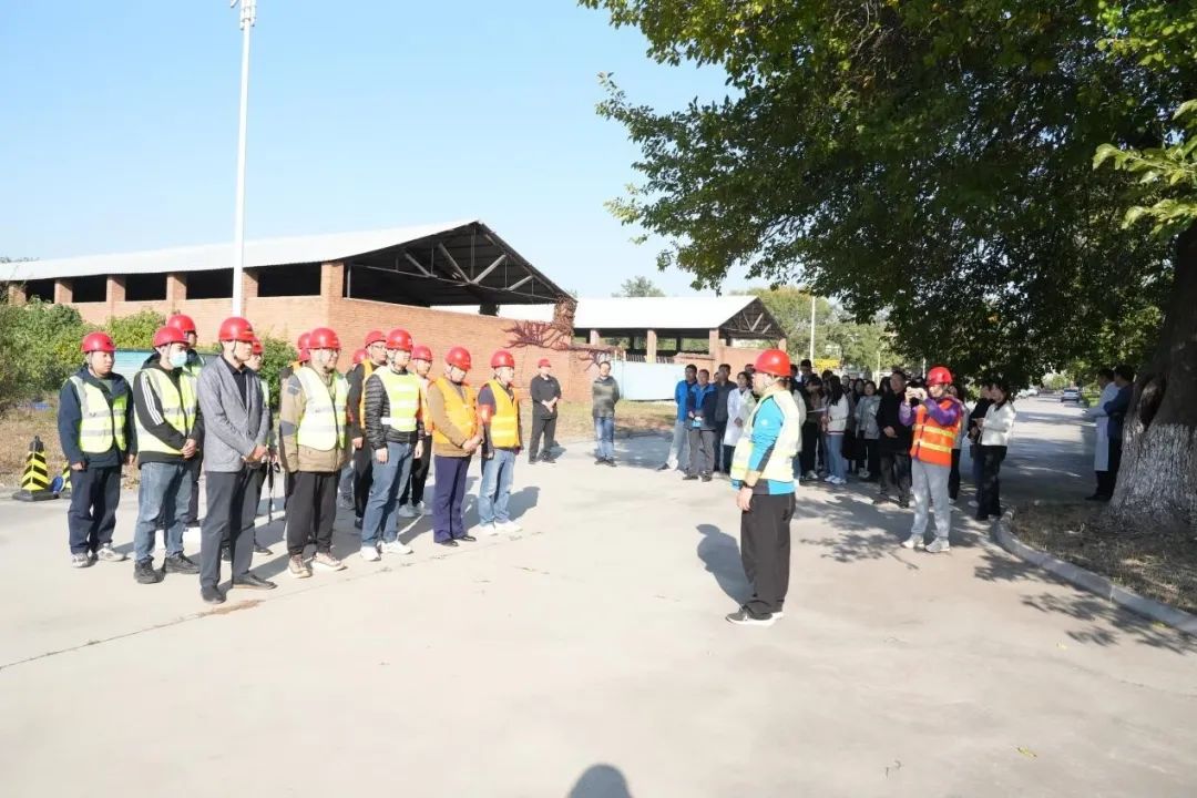 1733447804444.jpg 1261.jpg