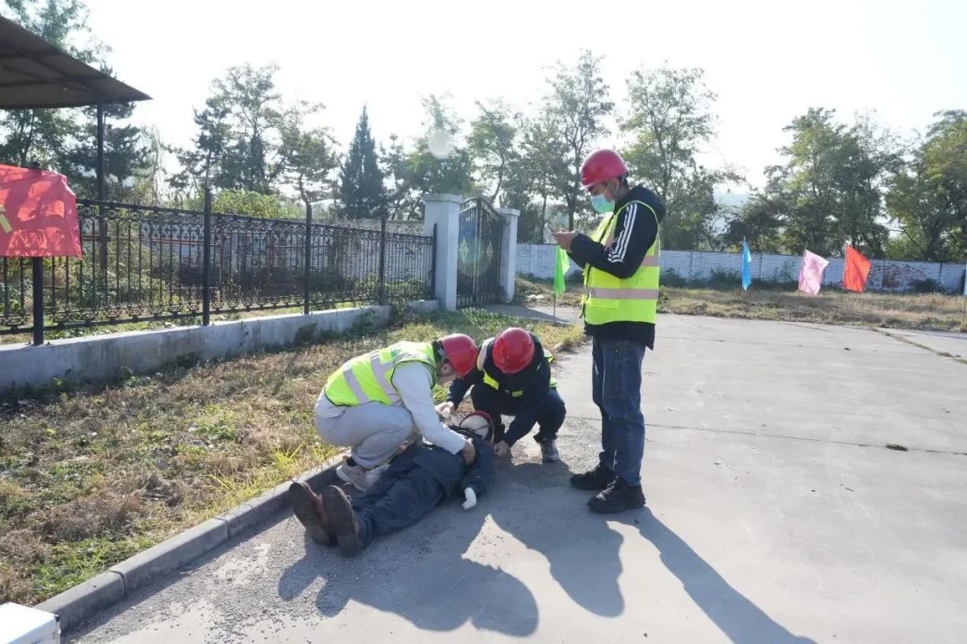 1733447815432.jpg 1262.jpg