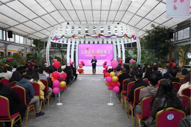 1733451573317.png 1261.png