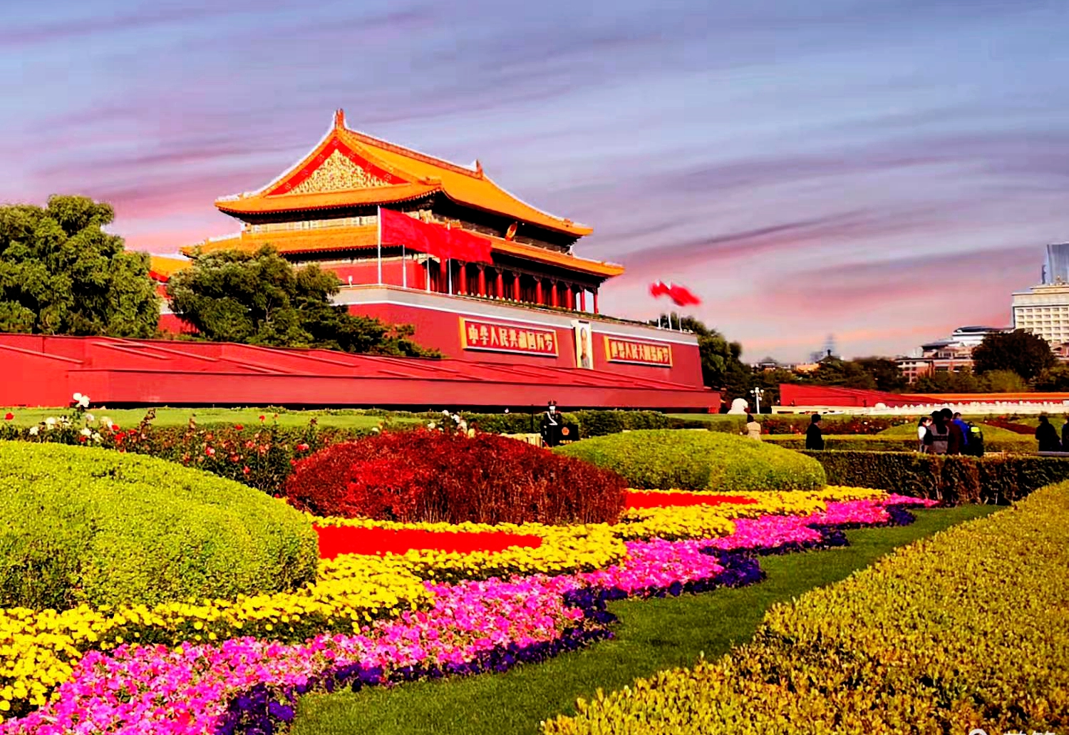 1735626732230.jpg 1735626732230.jpg