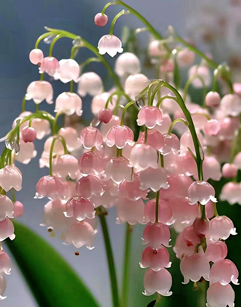 1735626885764.jpg 1735626885764.jpg