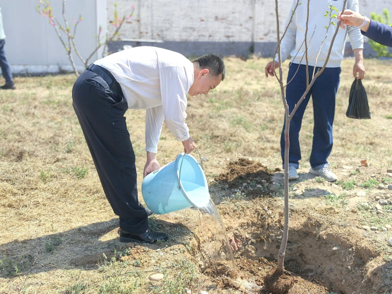 1749173479944.png 333.png