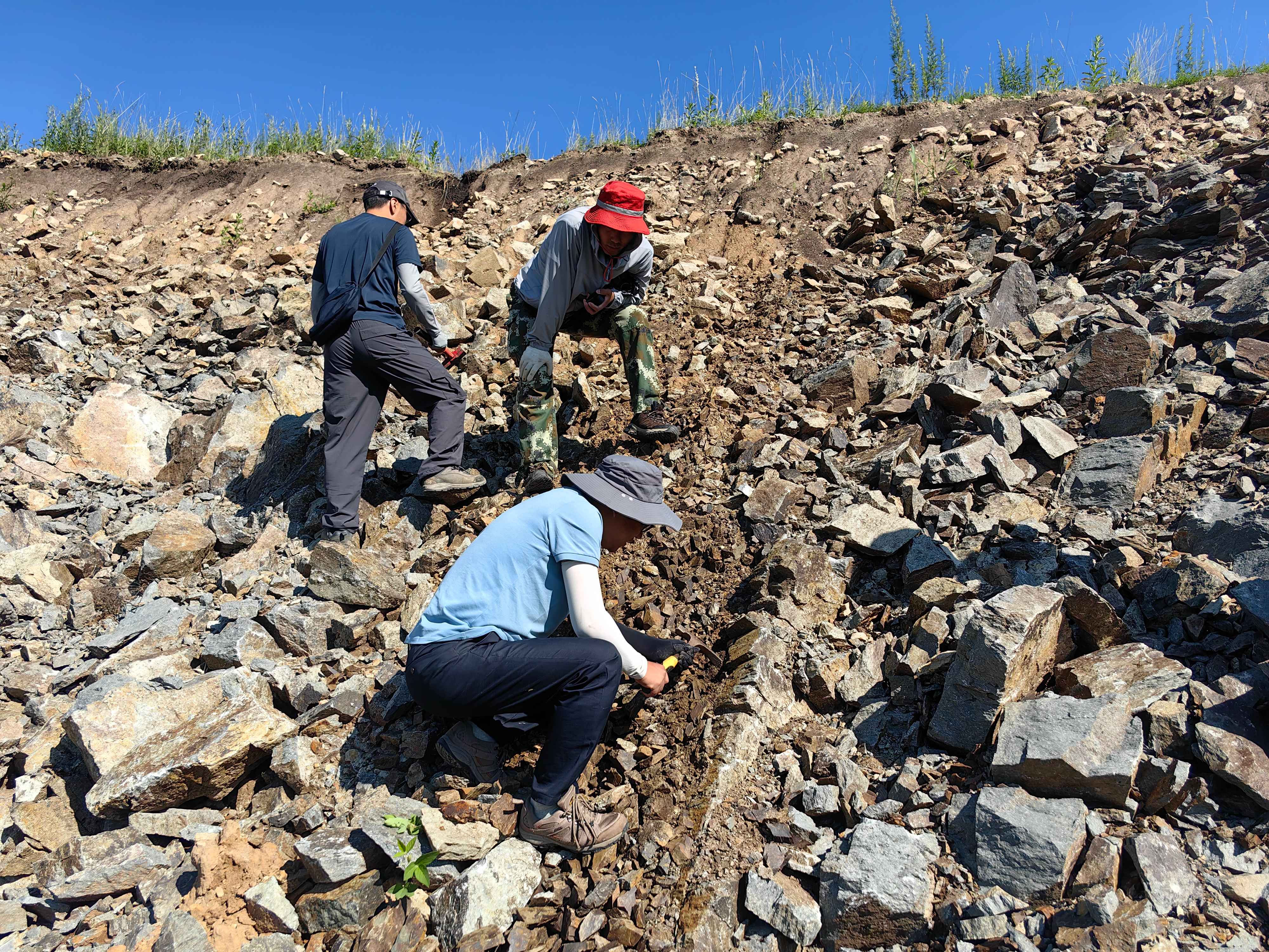 1759129927834.jpg 1759129927834.jpg