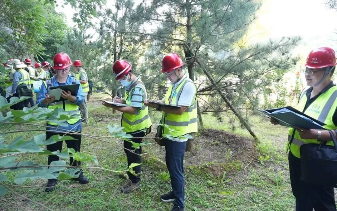 1760000446319.jpg 7.jpg